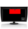Picture of Eizo ColorEdge CG319X