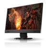 Picture of Eizo Foris FS2434